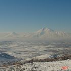 ARMENIA