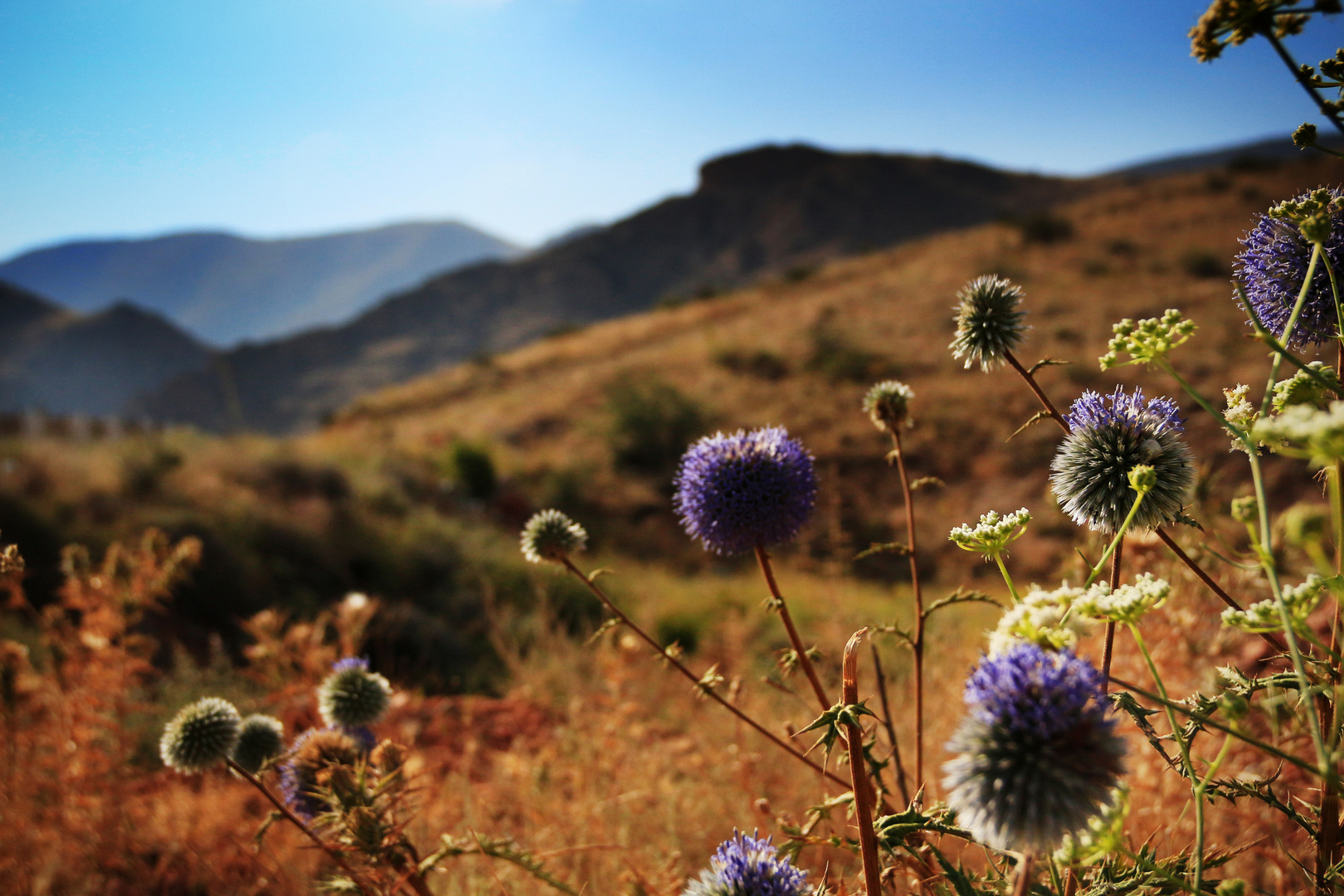 Armenien schönes Land im Kaukasus