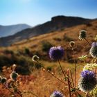 Armenien schönes Land im Kaukasus