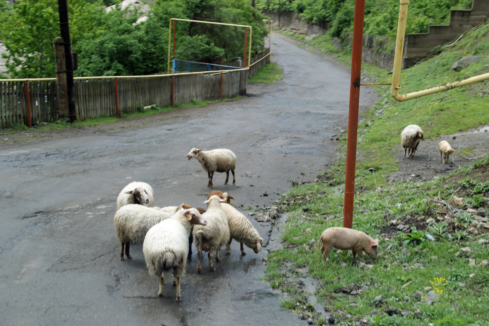 Armenien: Unterwegs