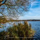 Armensee (Fockbeker See)