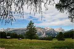 Armentara Wiesen, im Hintergrund der Puez - Geisler Naturpark