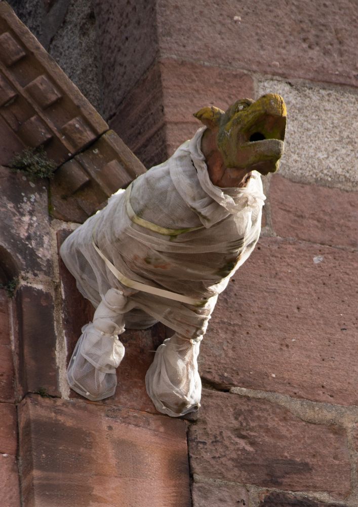 Armer Hund! Foto &amp; Bild europe, france, kunstfotografie &amp; kultur
