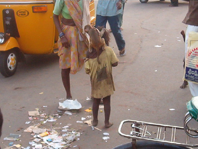 Armes indisches Kind mit Äffchen