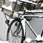 Armes kaltes Fahrrad...