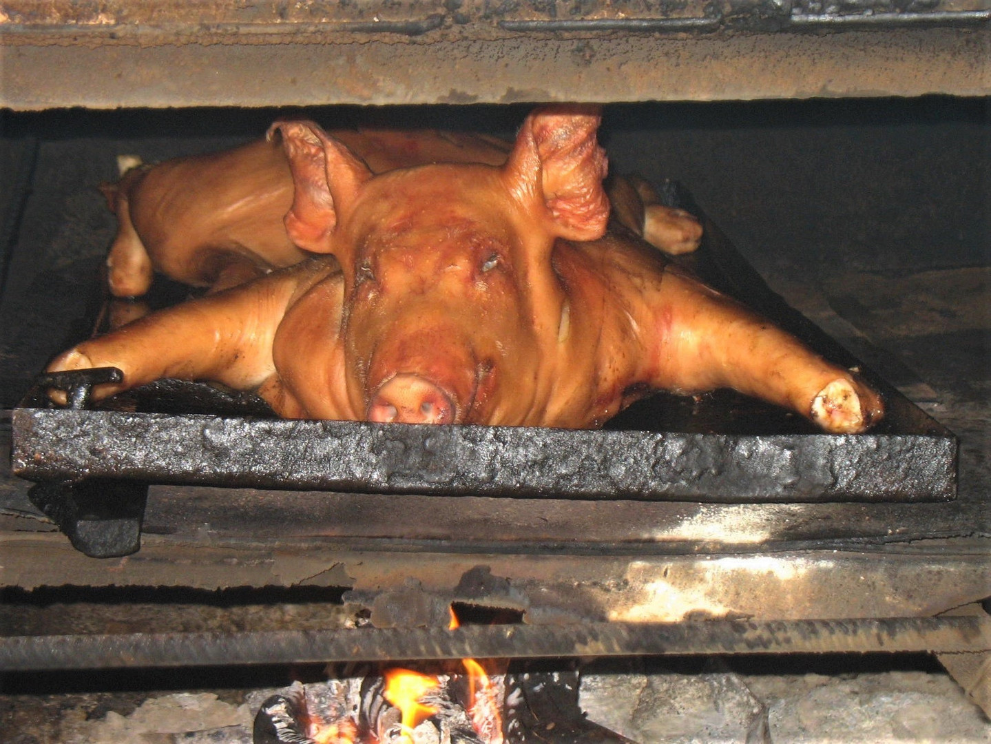 Armes Schwein