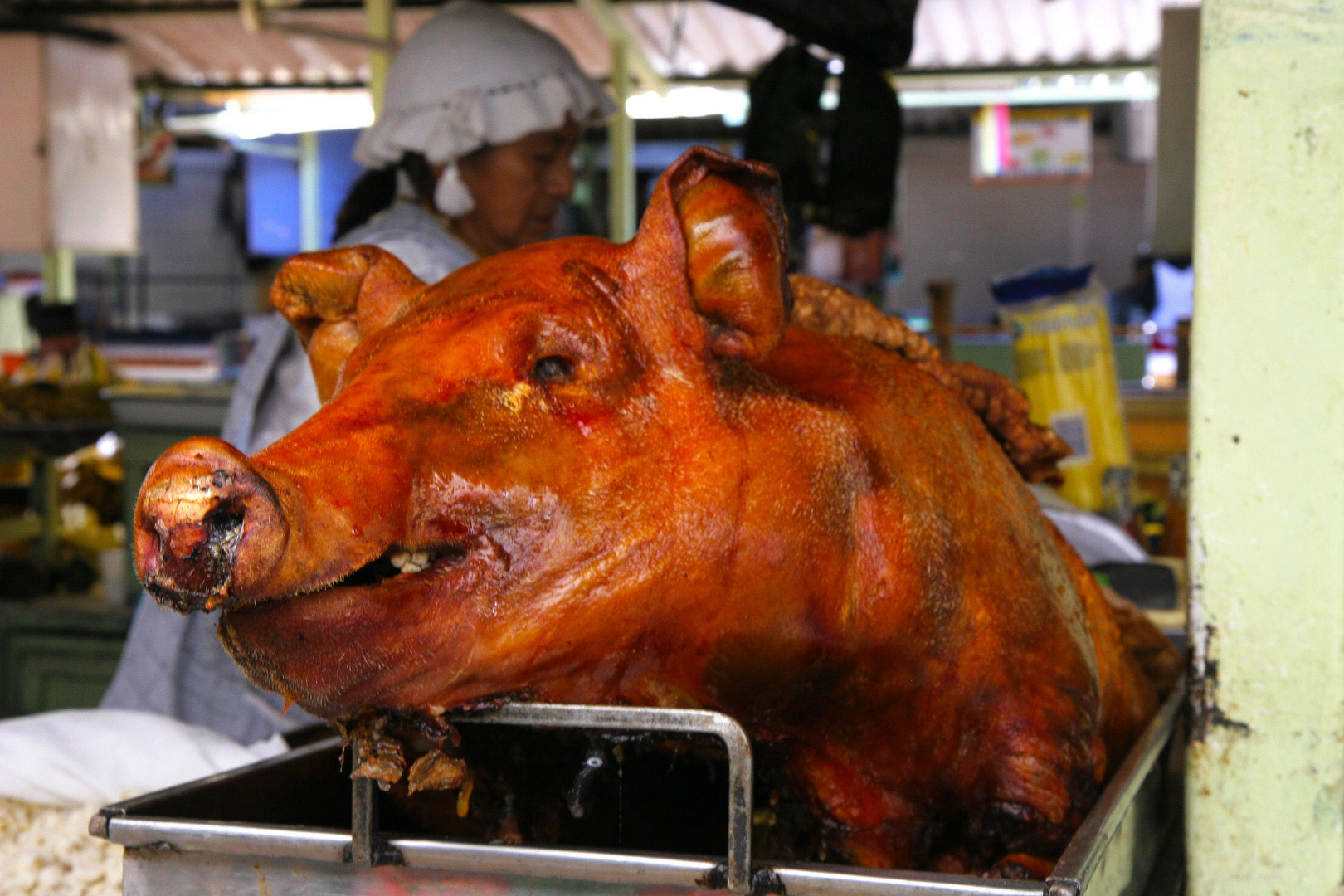 Armes Schwein Foto & Bild tiere, tier und mensch, natur Bilder auf