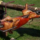 Armes Schwein........