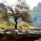 Armonia de colores ( Lagunas de Ruidera)