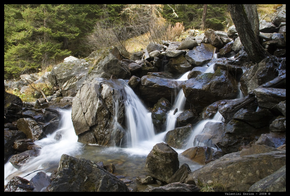 Armonia della natura