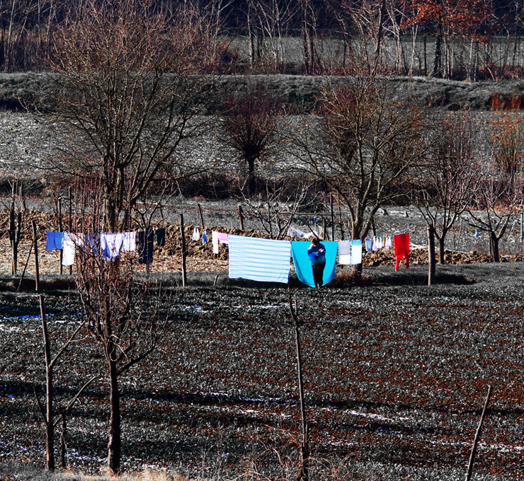 Armonie in terra di Toscana 4