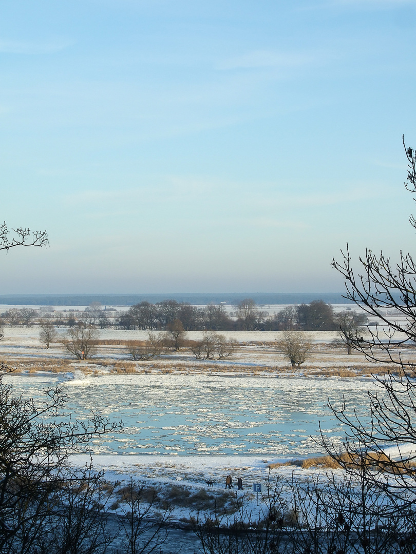 Arneburg - Blick von der Kirche auf die Elbe (Schnee)