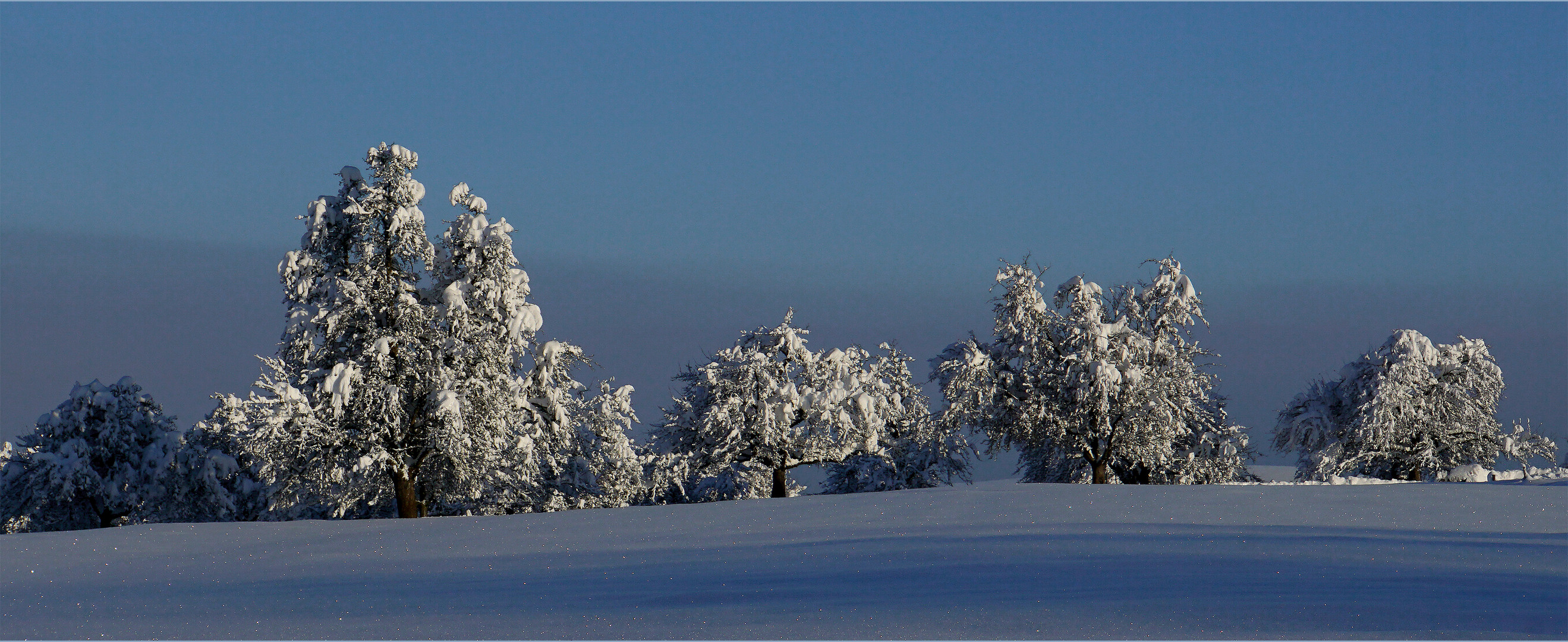 Arnegg SG  /  640 m ü. M.  /  –10° C  /  58 cm Neuschnee