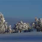 Arnegg SG  /  640 m ü. M.  /  –10° C  /  58 cm Neuschnee