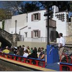 Arneson River Theatre II