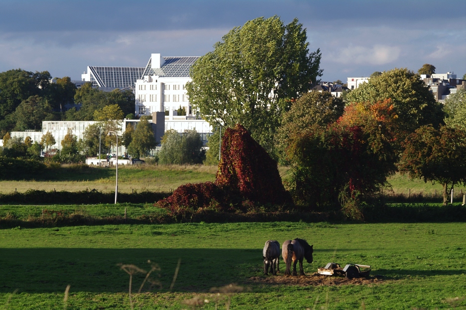 Arnheim von Süden aus (III)