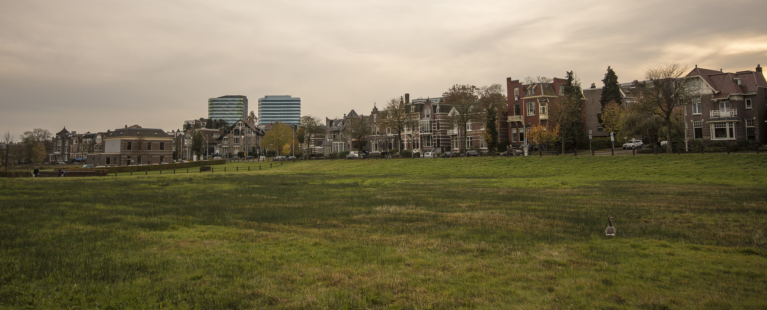 Arnhem - Park Sonsbeek - View on Park- and Rijntoren  - 18