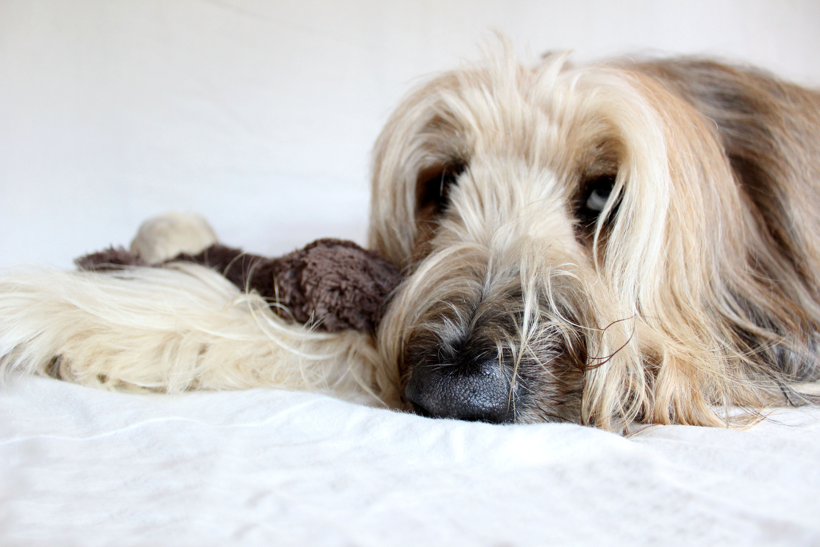 Arni und sein Teddy