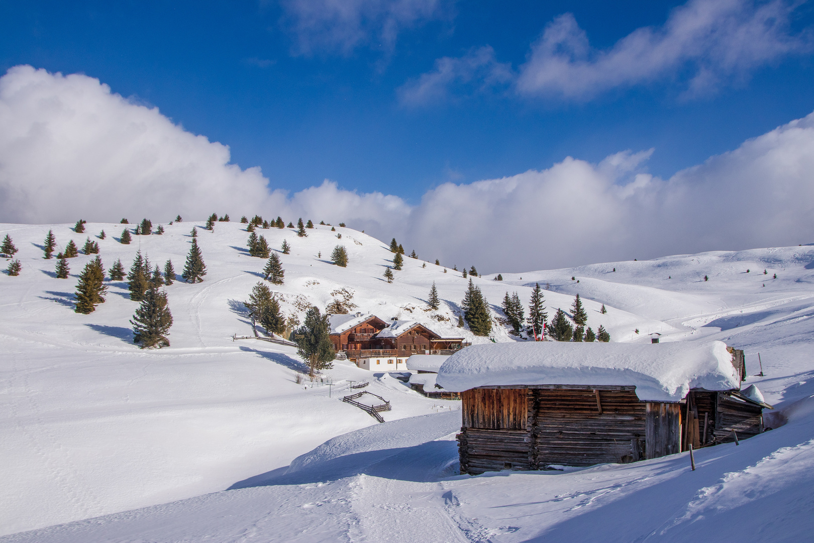 Arnika-Hütte