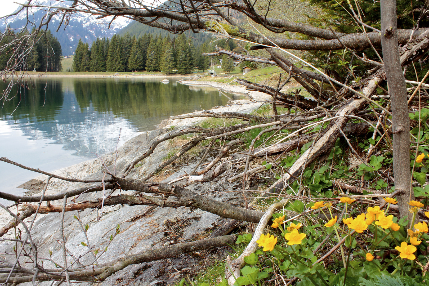 Arnisee, Amsteg