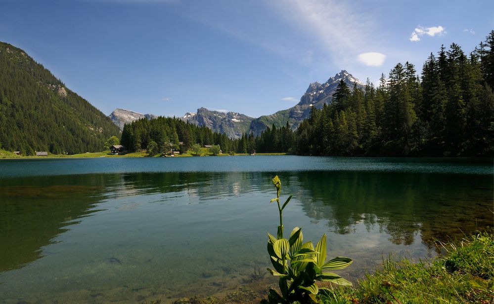 Arnisee, im Vordergrund die weisse Germer