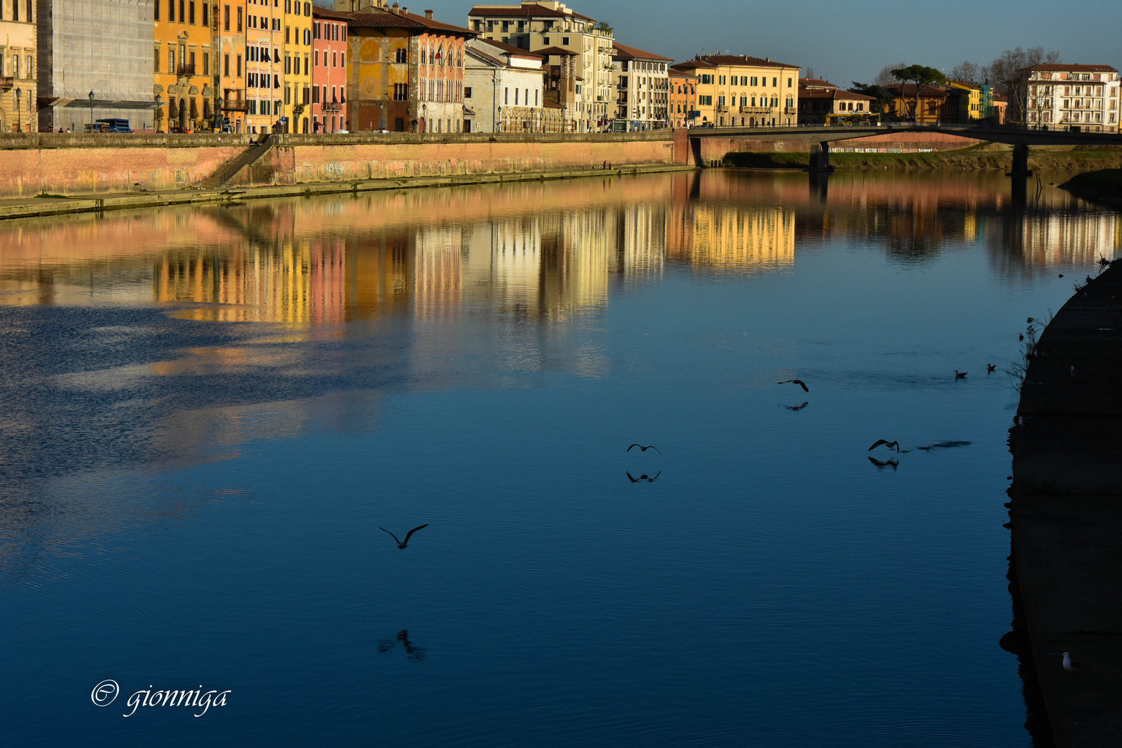 Arno a Pisa