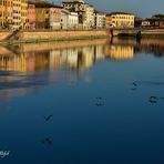 Arno a Pisa