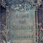 Arnold und Friederike Friedmann