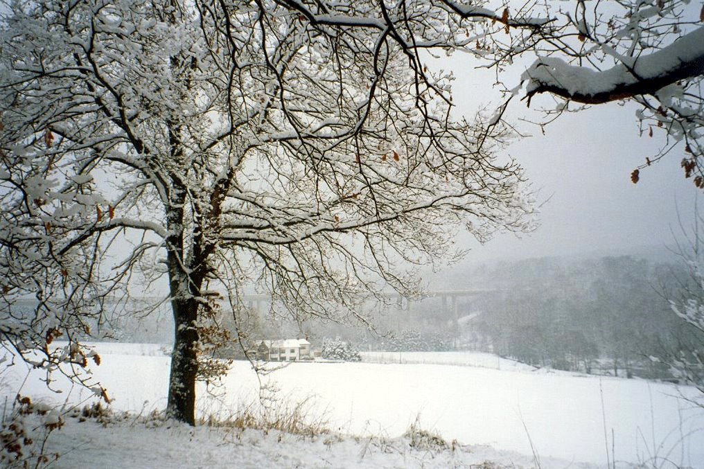 Arnsberg - Niedereimer