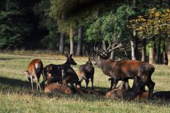 Arnsberg - Wildwald Voßwinkel