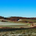 Arnsberger Wald im Januar 2019