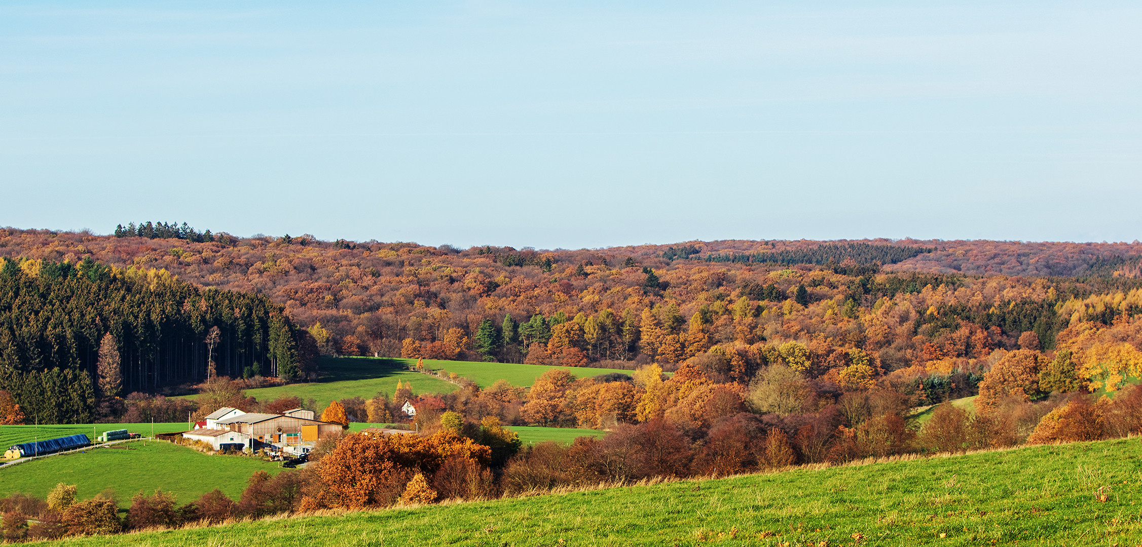 Arnsbergerwald 003