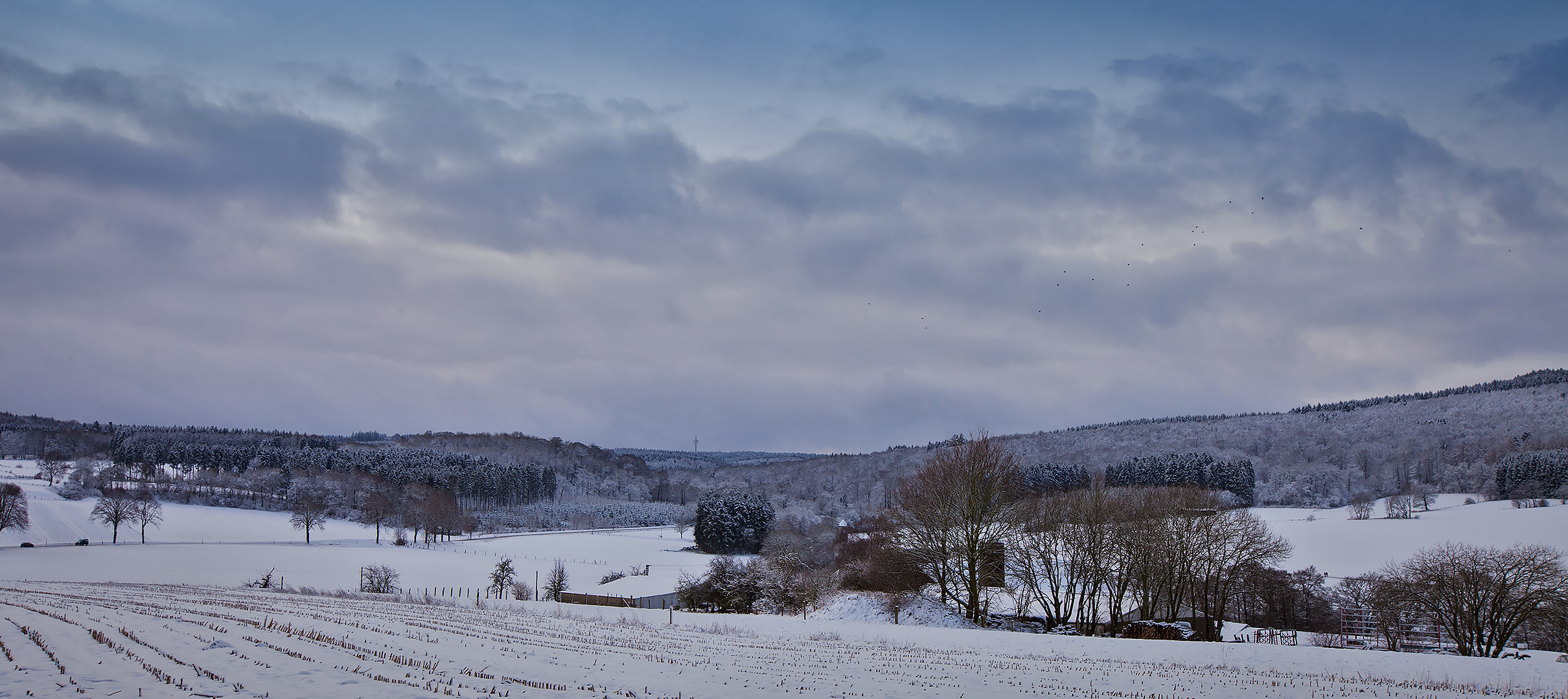 Arnsbergerwald 