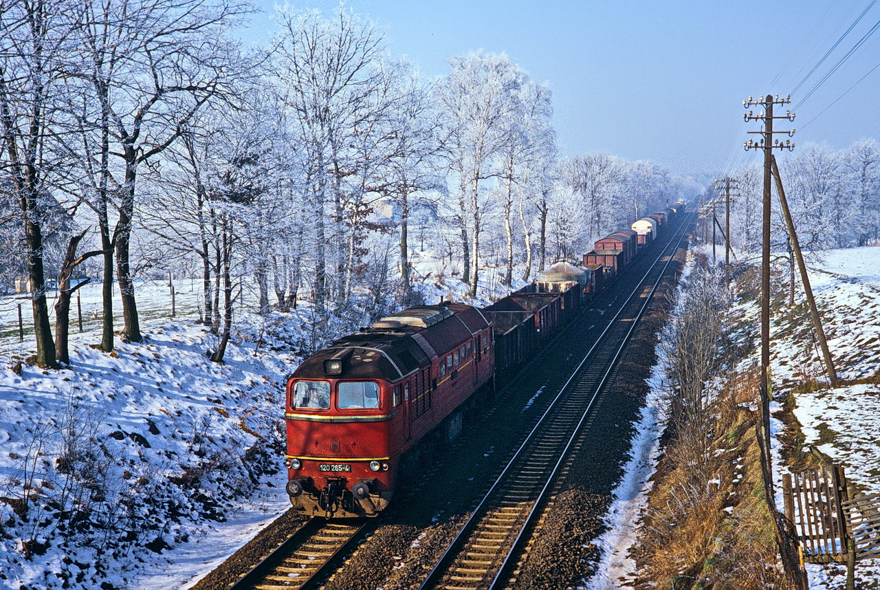 Arnsdorf 1981