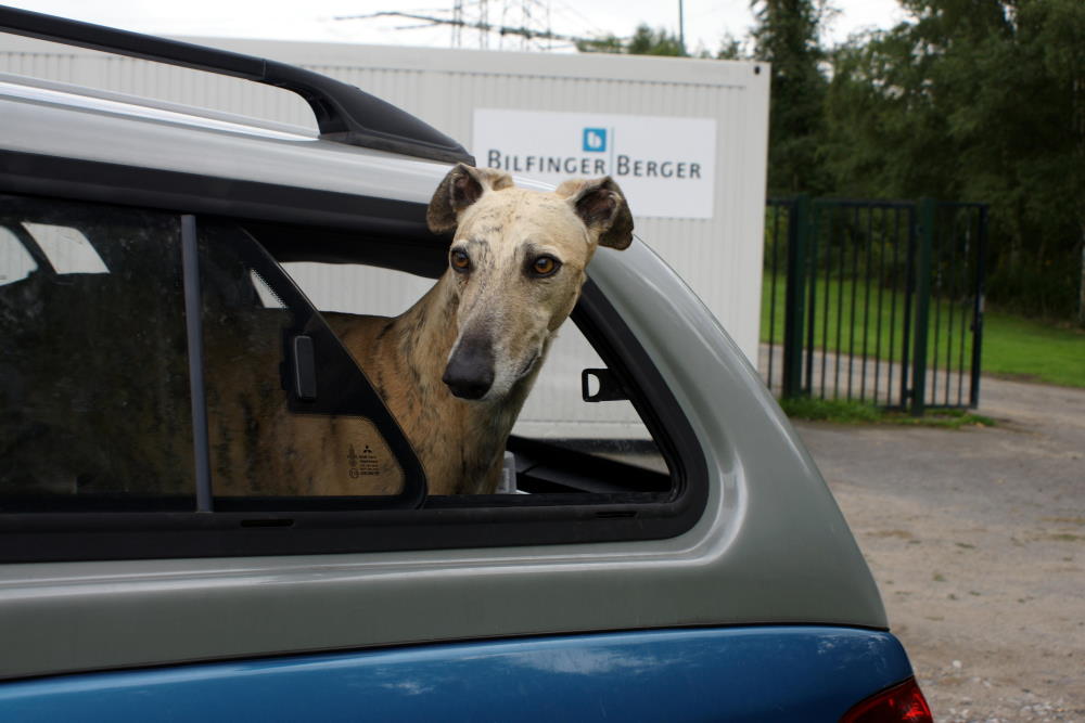 Arny in seiner mobilen L200 Hundehütte