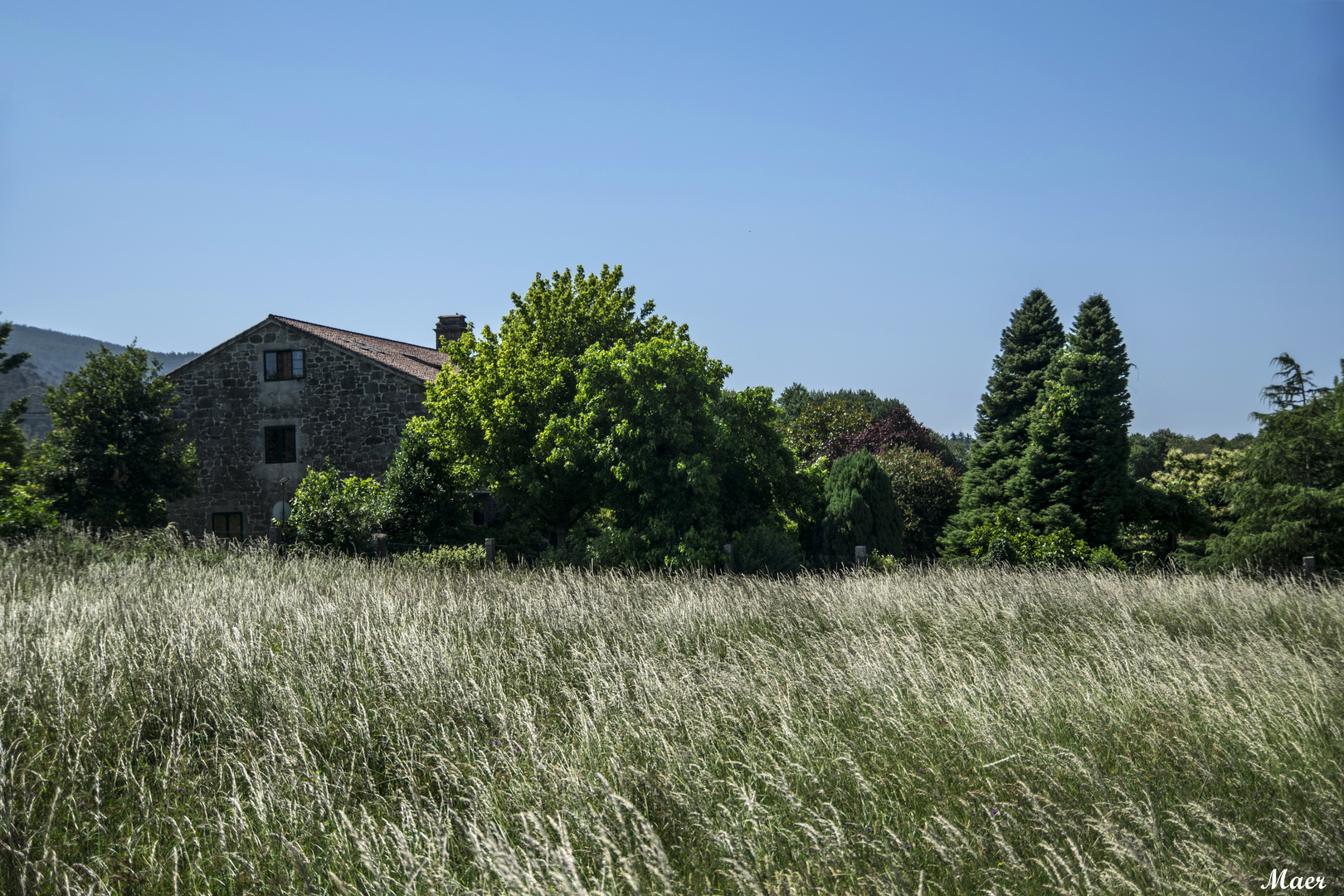 Aromas de campo