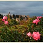 Aromas de la Alhambra