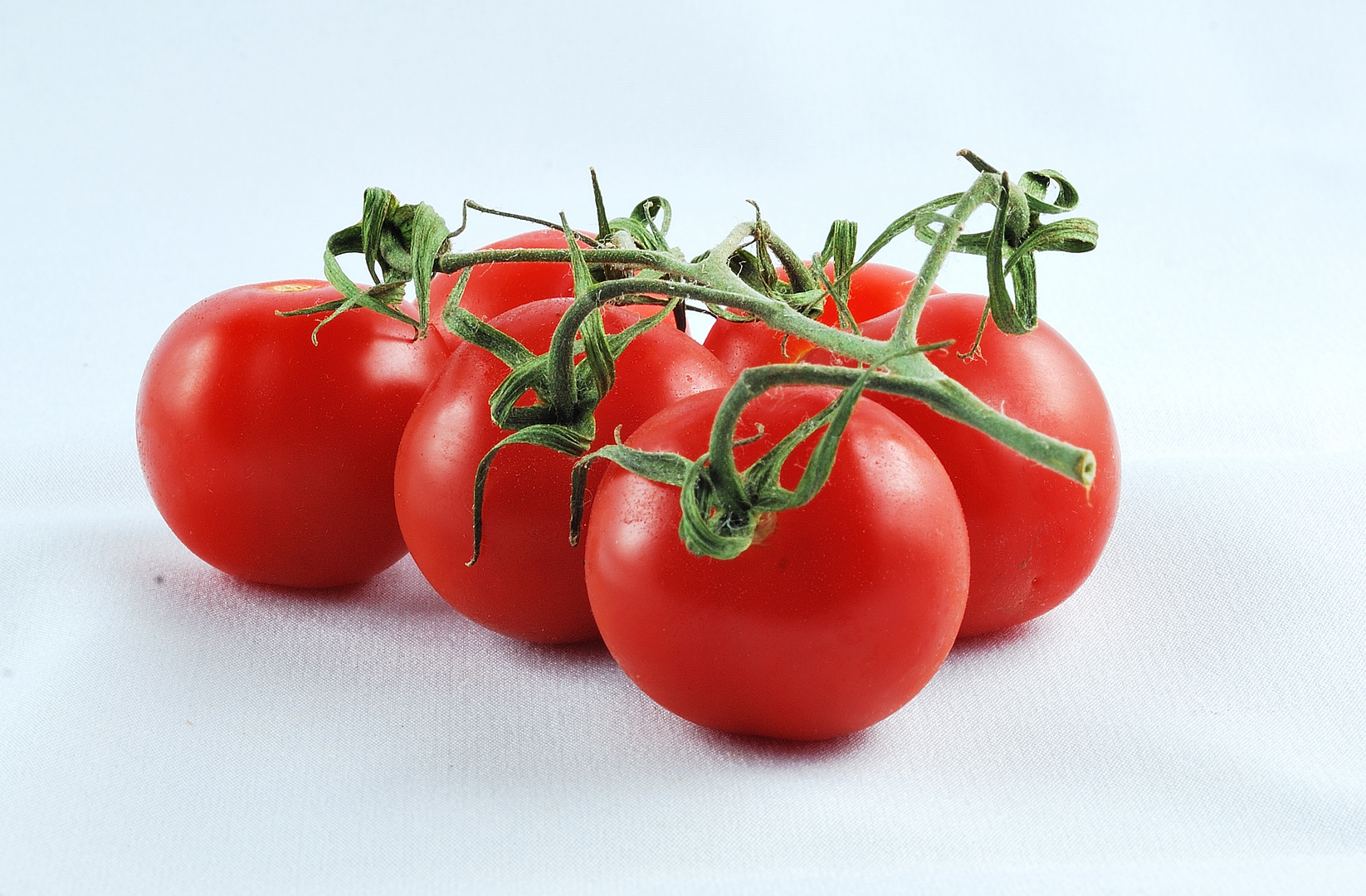 Aromatica Tomaten