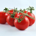 Aromatica Tomaten