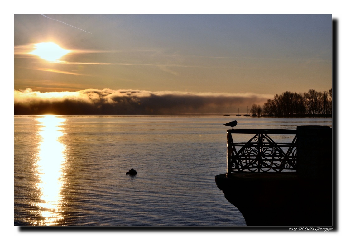 ARONA ALBA CON NEBBIA SUL LAGO MAGGIORE