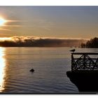 ARONA ALBA CON NEBBIA SUL LAGO MAGGIORE