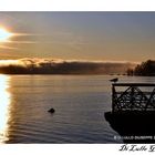 ARONA MURO DI NEBBIA