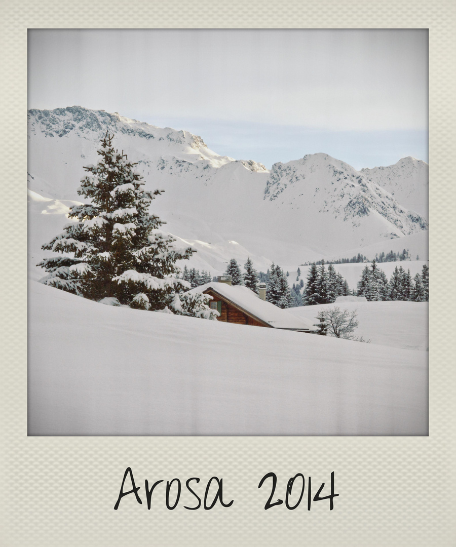 Arosa 2014