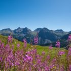 Arosa Berglandschaft