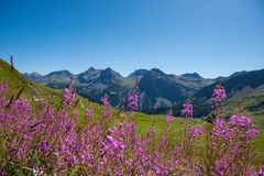 Arosa Berglandschaft