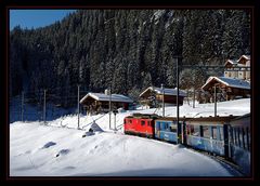 Arosa-Express (F11)