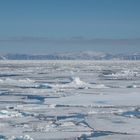 Around Spitsbergen VI