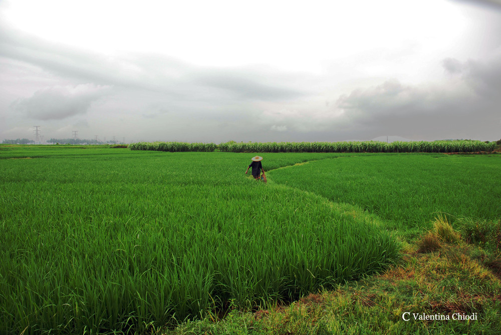 around Yanghsuo