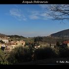 Arquà Petrarca - Tra i colli Euganei