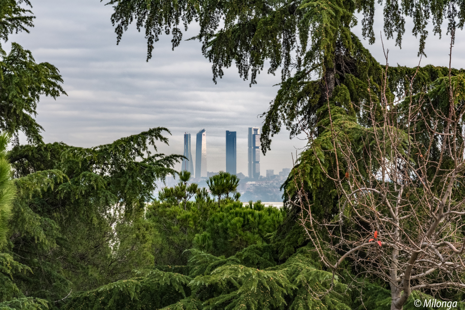 Arquitectura y Naturaleza